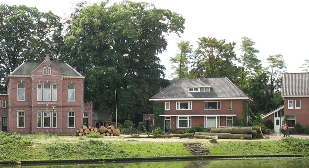 gekapte bomen maliebaan